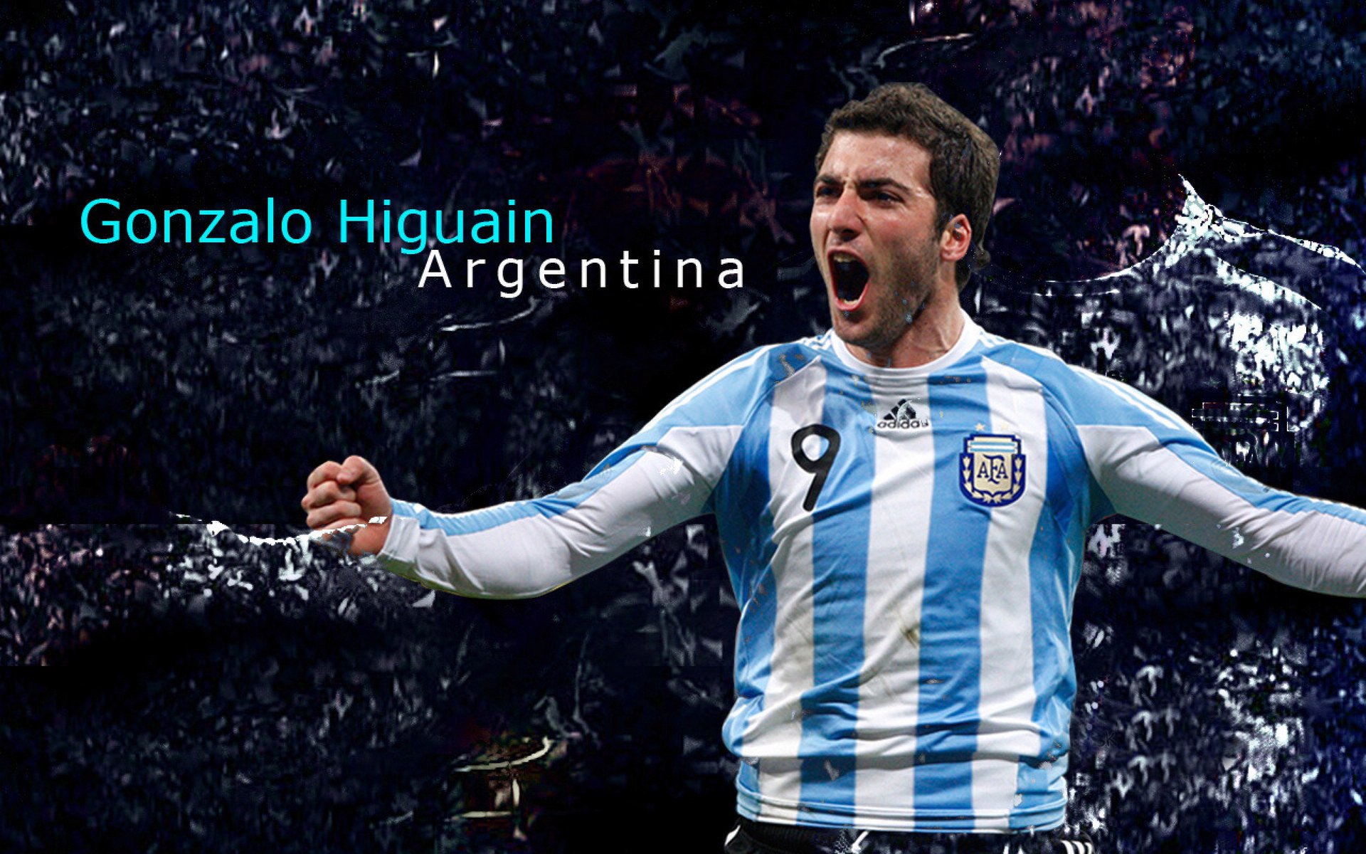 体育文化全球传播